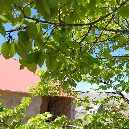 Casa de Férias Comfortable House In With Garden