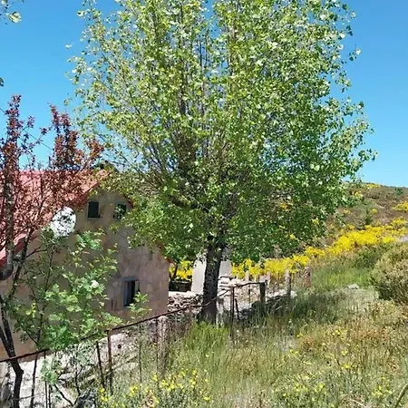 度假居 Comfortable House In With Garden *