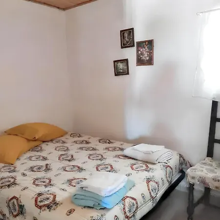 Comfortable House In With Garden