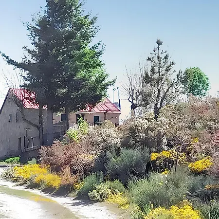 度假居 Comfortable House In With Garden