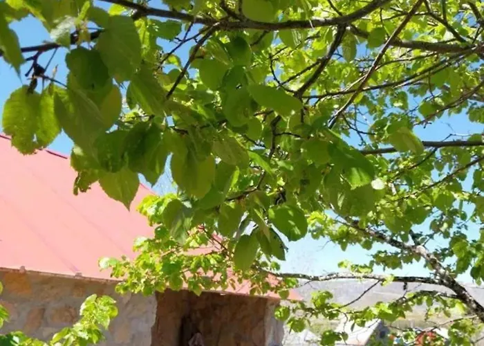 Casa de Férias Comfortable House In With Garden