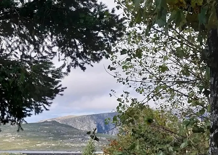 Comfortable House In With Garden * Cortes do Meio