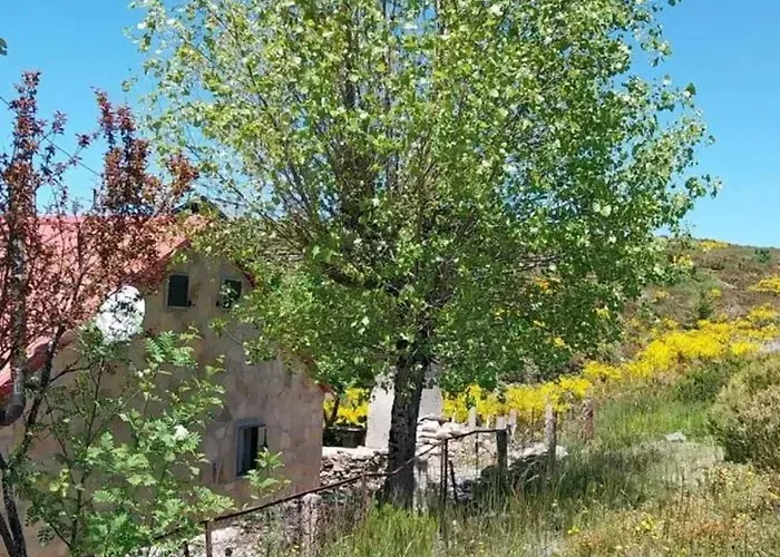 Casa de Férias Comfortable House In With Garden *