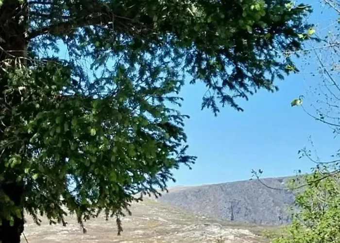 Comfortable House In With Garden * Cortes do Meio