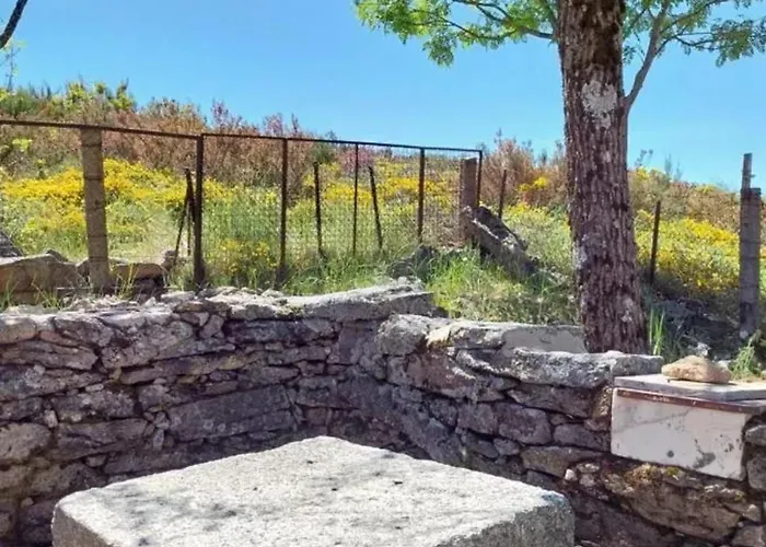 Casa de Férias Comfortable House In With Garden